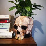 Triogift Halloween Themed Skull Flower Pot