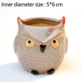 Triogift Wise Owl Ceramic Flower Pot