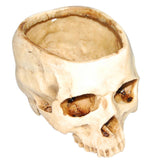 Triogift Skull Motif Flower Pot