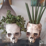 Triogift Halloween Themed Skull Flower Pot