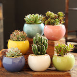 Triogift Spherical Pastel Charm Flower Pot