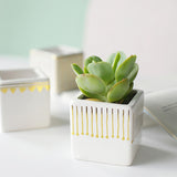 Triogift Square Ceramic Artistic Flower Pot