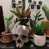 Triogift Halloween Themed Skull Flower Pot