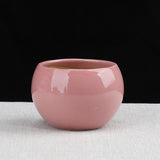 Triogift Spherical Pastel Charm Flower Pot