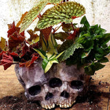 Triogift Halloween Themed Skull Flower Pot