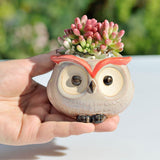 Triogift Wise Owl Ceramic Flower Pot