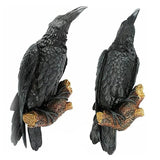 Triogift Gothic Raven Statue