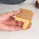 Triogift  10 Pack Eco-Friendly Sponge Dual-Sided for Dishwashing Wooden Pulp Sponge Non Scratch Kitchen Biodegradable Cleaning Sponge