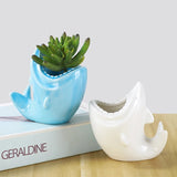 Triogift Shark Shape Flower pot Planter Plants Potted Home Decor Ceramic Vase Desktop Ornaments Gardening Supplies Succulent Plant Pot