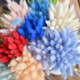 Triogift  50pcs Dried Rabbit Tail Grass Flowers Artificial Plant Bouquets Wedding Party Home Desktop Decorative Flowers Eternal Flower