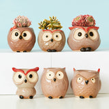 Triogift Wise Owl Ceramic Flower Pot