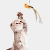 Triogift  Bird Cat Toys Upgraded Epoxy Sucker Steel Wire Long Rod Feather Cat Teasing Stick Cat Self Hi No Harmful Ingredients