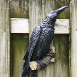 Triogift Gothic Raven Statue