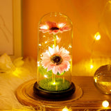 Triogift Tulip Glass Cover Decoration For Valentine'S Day Decoration Micro Landscape Immortal Rose Valentine'S Day Gift LED Lights