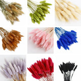 Triogift  50pcs Dried Rabbit Tail Grass Flowers Artificial Plant Bouquets Wedding Party Home Desktop Decorative Flowers Eternal Flower