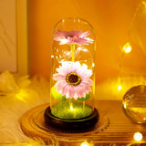 Triogift  Artificial Flower Sunflower Tulip Glass Dome for Mother's Day Valentine's Day Gift Home Decorations LED Night Lamp Bedroom Decor