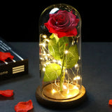 Triogift  LED Enchanted Galaxy Rose Eternal 24K Gold Foil Flower With Fairy String Lights In Dome For Christmas Valentine's Day Gift