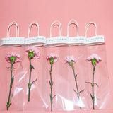 Triogift 10pcs Transparent PVC Long Tote Clear Bag Flower Packaging Flower Bouquet Bags Florist Decoration Celebration Party Gift Pouch