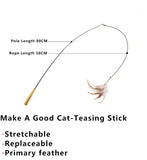 Triogift  Stretchable Feather Interactive Elastic Rope Cat Toy Simulation Feather Cat Stick Toys Kitten Race Rank Teaser Wand Cat Supplies