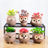 Triogift Wise Owl Ceramic Flower Pot