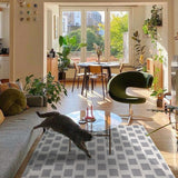 Triogift Checkerboard Carpet Modern Retro Living Room Large Area Trendy Bedroom Girl IG Decoration Fluffy Thick Soft Rug