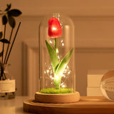 Triogift Tulip Glass Cover Decoration For Valentine'S Day Decoration Micro Landscape Immortal Rose Valentine'S Day Gift LED Lights