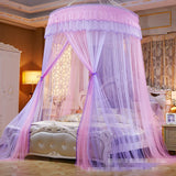 Triogift Summer Home Dome Mosquito Net Romantic Lace Color Matching Floor-standing Mosquito Net Big Space Bedroom Double Bed Bed Curtain