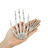 Triogift 2/12pcs Realistic Human Hand Bone Halloween Haunted House Plastic Skull Skeleton Bone Adult Scary Props Halloween Decoration