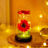 Triogift  Artificial Flower Sunflower Tulip Glass Dome for Mother's Day Valentine's Day Gift Home Decorations LED Night Lamp Bedroom Decor