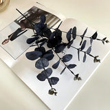 Triogift  34cm Artificial Black Eucalyptus Branch Stems Artificial Plants for Autumn Halloween Home Decoration Wedding Flower Arrangement