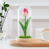 Triogift Tulip Glass Cover Decoration For Valentine'S Day Decoration Micro Landscape Immortal Rose Valentine'S Day Gift LED Lights