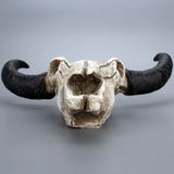 Triogift  Three-Dimensional Wall Hanging Horns, Skull, Creative Home Wall Decoration, Retro Animal Bones