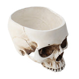 Triogift Skull Motif Flower Pot