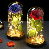 Triogift  LED Enchanted Galaxy Rose Eternal 24K Gold Foil Flower With Fairy String Lights In Dome For Christmas Valentine's Day Gift