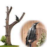 Triogift Gothic Raven Statue