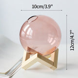 Triogift Mini Glass Bubble Vase