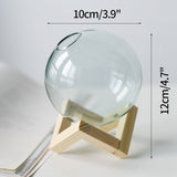 Triogift Mini Glass Bubble Vase