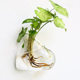 Triogift Glass Wall Hanging Flower Vase