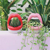 Triogift Creative Lips Flower Pot