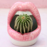 Triogift Creative Lips Flower Pot