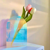 Triogift Aurora Acrylic Vase