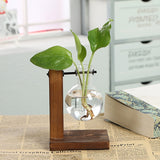 Triogift Terrarium Flask Planter Vase