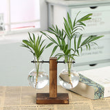 Triogift Terrarium Flask Planter Vase