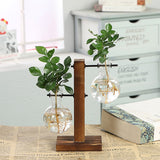 Triogift Terrarium Flask Planter Vase